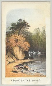 دار البجع ، من السلسلة ، مناظر في سنترال بارك ، نيويورك ، الجزء الثاني ، 1864. بواسطة لويس برانغ