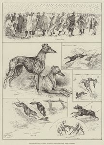 اسكتشات في اجتماع Waterloo Coursing ، Altcar ، بالقرب من ليفربول (نقش) بواسطة لويس وين