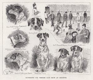 عرض Southdown Fox Terrier Club في برايتون (نقش) بواسطة لويس وين