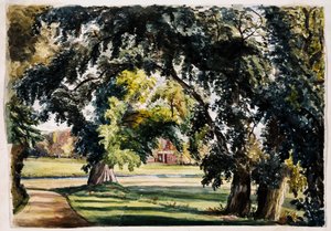 منظر جمالي بواسطة لويزا آن نيفيل