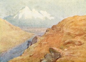 رسم توضيحي لحياة صاحب الجلالة ستانلي (طباعة حجرية ملونة)
