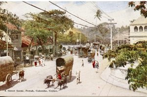 مشهد الشارع ، بيتاه ، كولومبو ، سيلان ، c.1900-20 (صورة ملونة باليد)