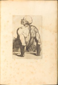 طباعة من كتاب الرسم بواسطة لوكا سيامبرلانو