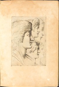 طباعة من كتاب الرسم بواسطة Luca Ciamberlano