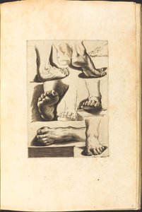 طباعة من كتاب الرسم