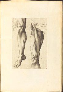 طباعة من كتاب الرسم