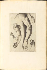 طباعة من كتاب الرسم