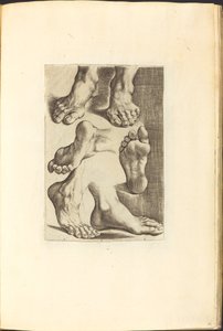طباعة من كتاب الرسم