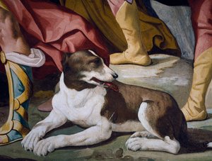 Dog, detail of fresco from cycle of Stories of Antenor