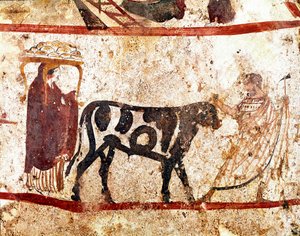 A bull leads on the altar of the sacrifice Lucanian fresco from the 4th century BC, from the necropolis of Andriuolo in Paestum, Italy. Museo nazionale archeologico, Paestum بواسطة مدرسة Lucanian