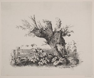 بواسطة سياج بواسطة Ludvig Messmann