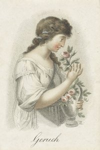 Smell Geuch (العنوان على الكائن) خمس حواس ممثلة بشخصيات نسائية (عنوان السلسلة) Die Funf Sinne (عنوان السلسلة) بواسطة شيافونيتي