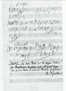 الصفحة الأخيرة من الموسيقى التي كتبها الملحن الألماني لودفيج فان بيتهوفن (1770-1827)