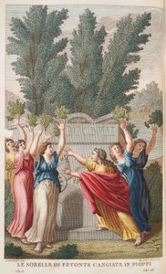 هيليادس في الأشجار التي تنتج العنبر أو Le Sorrelle يموت Fetonte Cangiate في Pioppi ، التوضيح من Ovid&39;s Metamorphoses ، فلورنسا ، 1832 (النقش اليدوي) بواسطة لويجي أديمولو