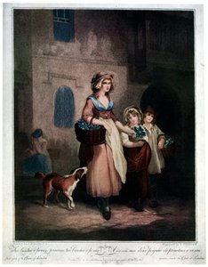 اثنين من عناقيد بيني ، بريموسز ، بينشينز بيني ، 1793 ، 1929 بواسطة لويجي شيافونيتي