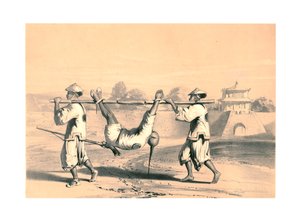 "رسم تخطيطي من الحائط في صباح اليوم التالي للهجوم الكبير" ، الصين ، القرن التاسع عشر.