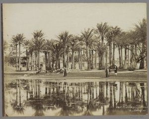 رجال مع ماعز تحت أشجار النخيل بجانب المياه في بدريشن Caire، Palmie [(...)] à Bedrecken (العنوان على الكائن) بواسطة ميزون بونفيس