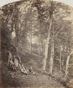 طريق عبر الغابة ، ج. 1860. بواسطة الرائد فرانسيس جريسلي