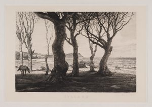 المناظر الطبيعية في جوتلاند بواسطة ماركوس بيش فريتز