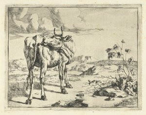 البقرة تلعق نفسها ماشية وخنازير (عنوان السلسلة)
