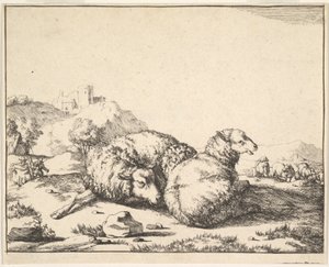 غنم من مجموعة من 16 لوحة ، 1664. بواسطة ماركوس دي باي