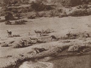 حفرة الماء