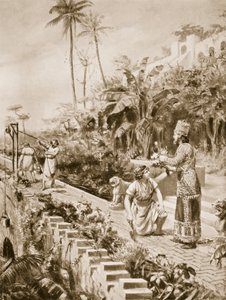  بواسطة مارجريت دوفاستون