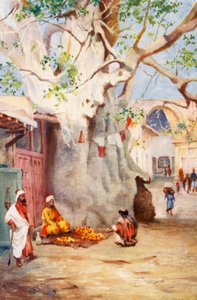  بواسطة مارجريت توماس