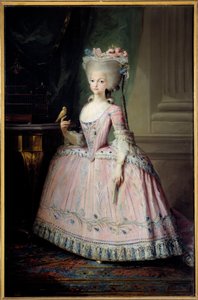 صورة على الأقدام - كارلوتا جواكين (1775-1830) إنفانتي ملك إسبانيا وملكة البرتغال لوحة لماريانو مايلا (1739-1819) (حسب التصنيف) القرن الثامن عشر الشمس. 1،77x1،16 م مدريد ، متحف برادو - صورة كاملة الطول لكارلوتا جواكوينا (1775-1830) بواسطة ماريانو سلفادور دي مايلا