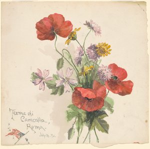 حمامات كركلا ، روما بواسطة ماريتا مينيجرود أندروز