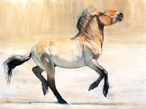 Equus (Przewalski) ، 2014 ، (باستيل وفحم على ورق)