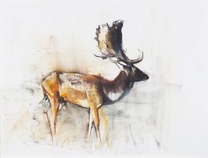 رائع Fallow Buck ، 2006 (فحم وكونت على الورق) بواسطة مارك ادلينجتون
