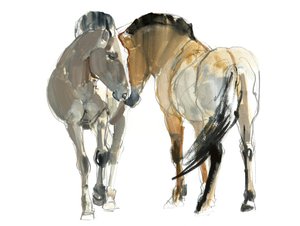 Rencontre (Przewalski) ، 2013 ، (ألوان مائية وصبغات على ورق)