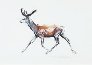 الجري Stag في المخمل ، Polsen ، 2006 (فحم وكونت على الورق) بواسطة مارك ادلينجتون