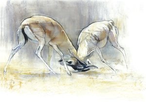 غزال الرمال ، 2009 (كونت وفحم على ورق) بواسطة مارك ادلينجتون