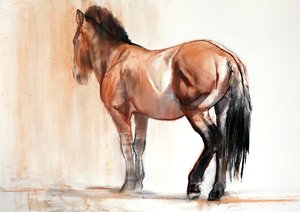 Stand (Przewalski) ، 2013 ، (باستيل وفحم على ورق)