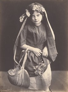 الزهور البرية ، كاليفورنيا. 1857. بواسطة مارك أنتوني