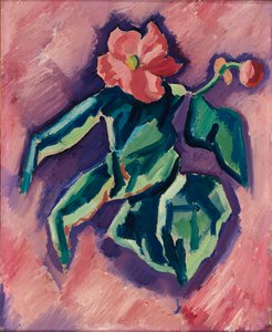بينك بيجونيا ، 1928-1929. بواسطة مارسدن هارتلي