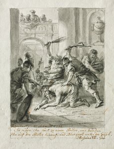 الجلد ، 1788. بواسطة مارتن يوهان شميدت