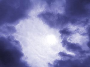 شمس بواسطة مارتينا كونيتزكي
