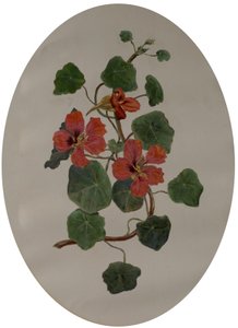 Nasturtiums ، حوالي 1870 (زيت على ورق) بواسطة ماري Dakeyne Townroe