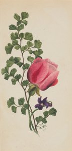 الوردة الوردية مع البنفسج ، 1876. بواسطة ماري فو والكوت