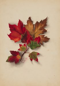 أوراق الخريف بلا عنوان ، 1874.