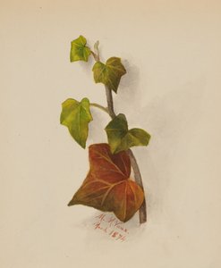 بلا عنوان ، 1874. بواسطة ماري فو والكوت