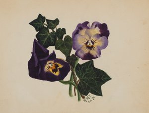 الزهريات بلا عنوان ولبلاب ، 1876. بواسطة ماري فو والكوت