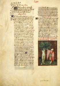 Harley 4431، f.134v Apollo and Daphne، from the Collected Works of Christine de Pisan 