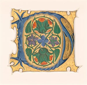 الأولي د