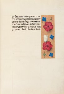 ساعات الملكة إيزابيلا الكاثوليكية ، ملكة إسبانيا: فل. 16 و ، ج. 1500. بواسطة سيد كتاب الصلاة الأول لماكسيميليان