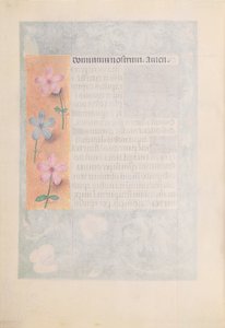ساعات الملكة إيزابيلا الكاثوليكية ، ملكة إسبانيا: فل. 194 فولت ، ج. 1500. بواسطة سيد كتاب الصلاة الأول لماكسيميليان