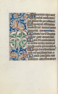 كتاب ساعات استخدام روان: fol. 117 فولت ، ج. 1470. بواسطة سيد لاتيني جنيف
